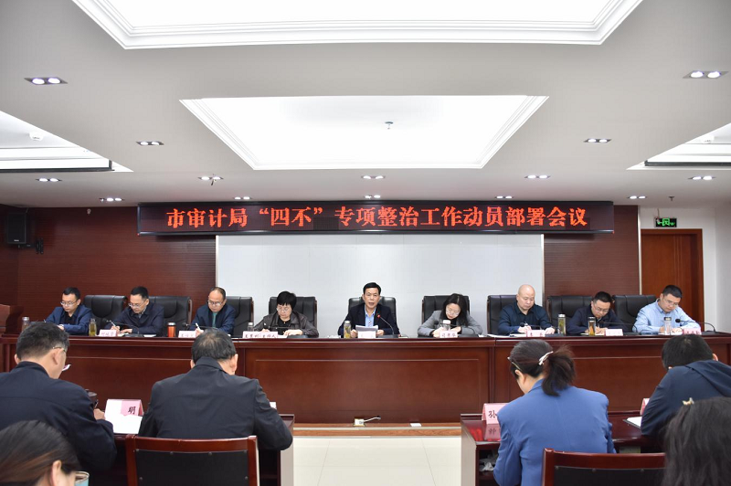 市审计局召开“四不”专项整治工作动员部署会议
