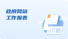 政府网站工作报表